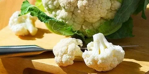 تصویر 4 از خرید و قیمت گل کلم عمده + فروش عمده